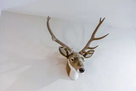 Escargot monolocale, Appartement 5 personnes à Cervinia - Photo 27