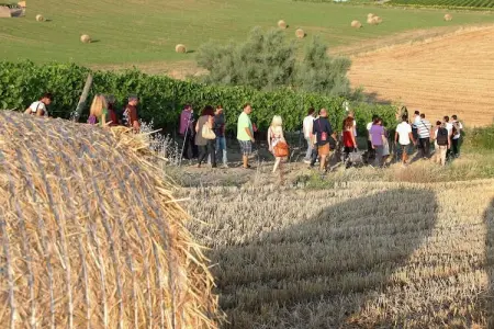 Campo Quattro, Appartement dans un établissement vinicole dans la campagne avec piscine et vue magnifique - Photo 18