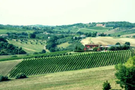 Campo Quattro, Appartement dans un établissement vinicole dans la campagne avec piscine et vue magnifique - Photo 19