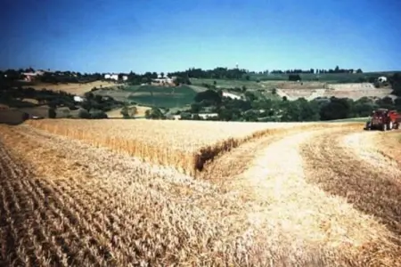 Campo Quattro, Appartement dans un établissement vinicole dans la campagne avec piscine et vue magnifique - Photo 23
