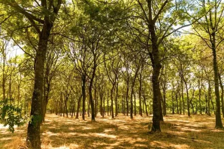 Campo Quattro, Appartement dans un établissement vinicole dans la campagne avec piscine et vue magnifique - Photo 28