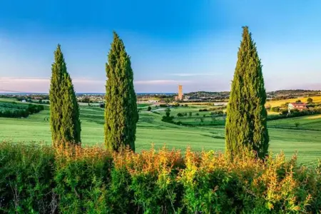 Campo Quattro, Appartement dans un établissement vinicole dans la campagne avec piscine et vue magnifique - Photo 30