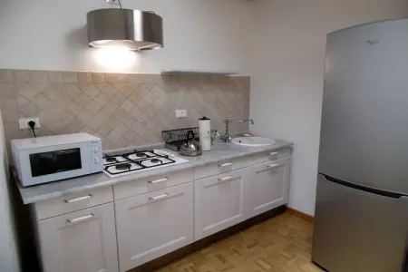 Maison Jaune, Appartement lumineux et élégant avec grande terrasse et vue sur le lac - Photo 1