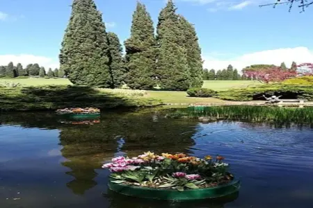 Maison Jaune, Appartement lumineux et élégant avec grande terrasse et vue sur le lac - Photo 26