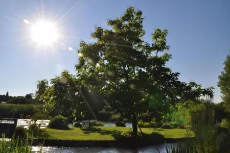 Maison Jaune, Appartement lumineux et élégant avec grande terrasse et vue sur le lac - Photo 35