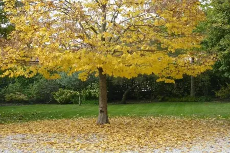 Maison Jaune, Appartement lumineux et élégant avec grande terrasse et vue sur le lac - Photo 38
