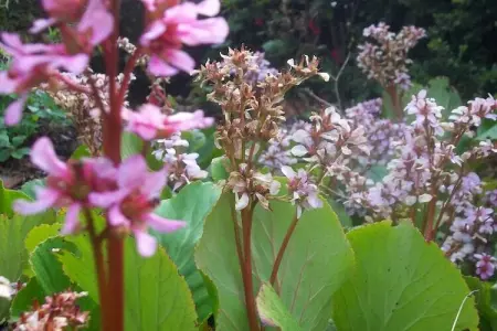 Fienile Regoli Quattro, Maison de vacances au bord du lac - Photo 38