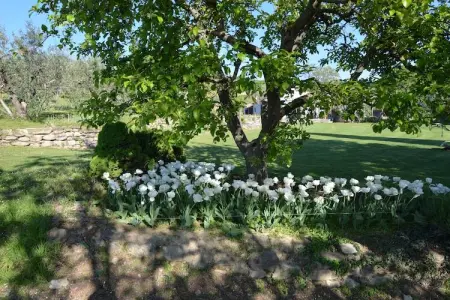 Fiore, Appartement dans un environnement calme et verdoyant avec piscine - Photo 20