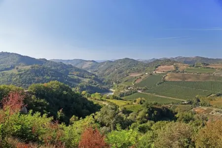 Fiore, Appartement dans un environnement calme et verdoyant avec piscine - Photo 25