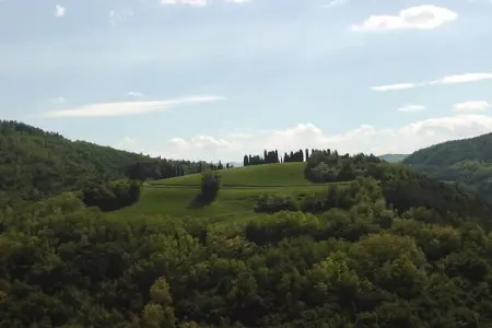 Fiore, Appartement dans un environnement calme et verdoyant avec piscine - Photo 30