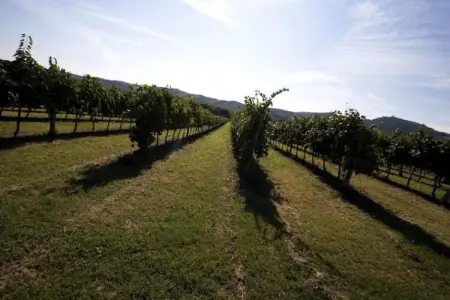 Fiore, Appartement dans un environnement calme et verdoyant avec piscine - Photo 32