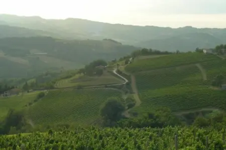 Fiore, Appartement dans un environnement calme et verdoyant avec piscine - Photo 33