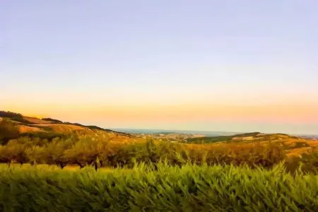 Fiore, Appartement dans un environnement calme et verdoyant avec piscine - Photo 37