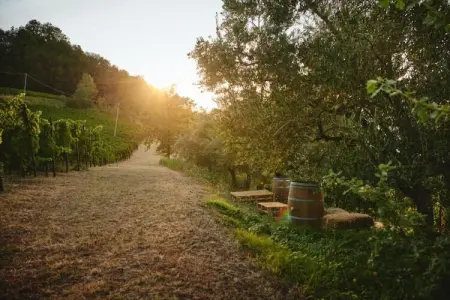 Fiore, Appartement dans un environnement calme et verdoyant avec piscine - Photo 38