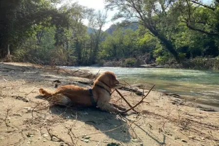 Fiore, Appartement dans un environnement calme et verdoyant avec piscine - Photo 39