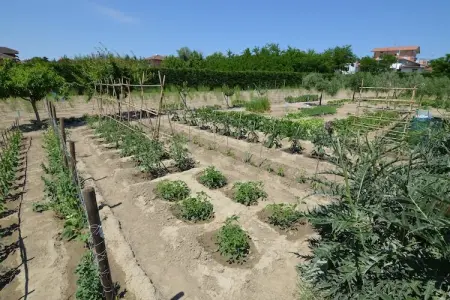 Venturi Lemon, Maison de vacances à 800 m des plages de la côte Adriatique - Photo 25