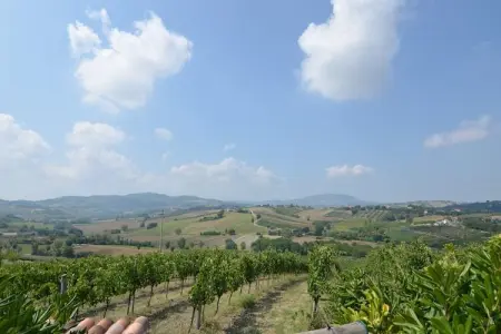 Fratello Campo, Appartement dans un établissement vinicole dans la campagne avec piscine et vue magnifique - Photo 7