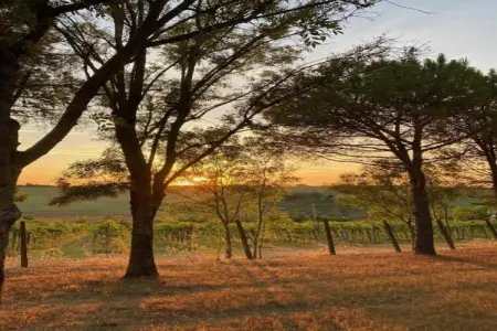 Fratello Campo, Appartement dans un établissement vinicole dans la campagne avec piscine et vue magnifique - Photo 36