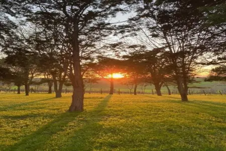 Sandro, Appartement dans un établissement vinicole dans la campagne avec piscine et vue magnifique - Photo 20