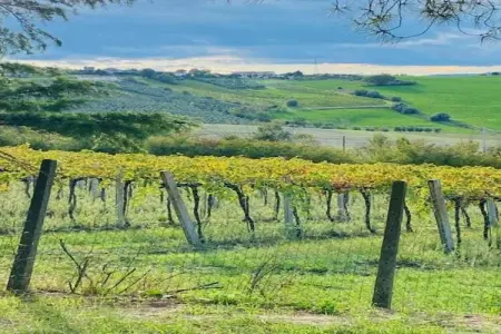 Sandro, Appartement dans un établissement vinicole dans la campagne avec piscine et vue magnifique - Photo 22