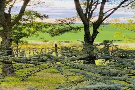 Sandro, Appartement dans un établissement vinicole dans la campagne avec piscine et vue magnifique - Photo 23