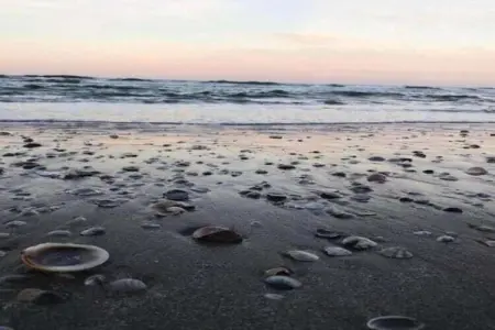 Sandro, Appartement dans un établissement vinicole dans la campagne avec piscine et vue magnifique - Photo 30