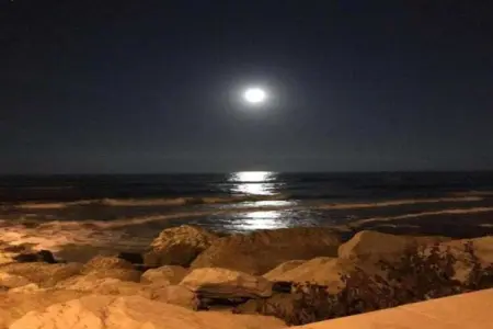 Sandro, Appartement dans un établissement vinicole dans la campagne avec piscine et vue magnifique - Photo 34