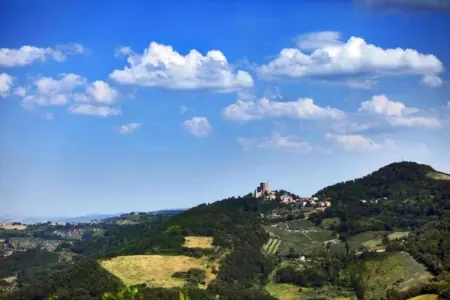 Sandro, Appartement dans un établissement vinicole dans la campagne avec piscine et vue magnifique - Photo 36