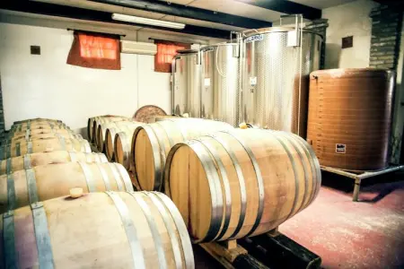 Sandro, Appartement dans un établissement vinicole dans la campagne avec piscine et vue magnifique - Photo 39
