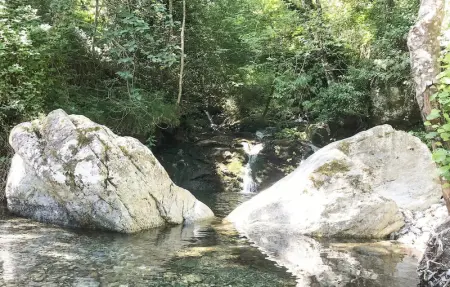 Location Appartement 4 personnes à CARCHETO BRUSTICO - Photo 6