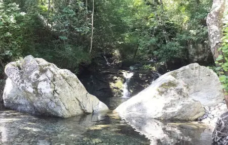 Location Appartement 4 personnes à CARCHETO BRUSTICO - Photo 11