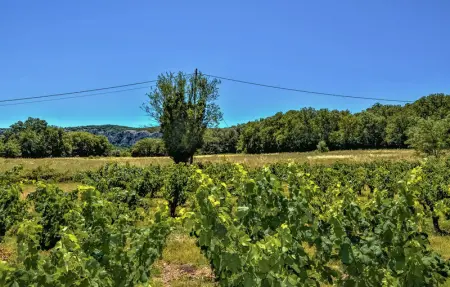 Location Maison 6 personnes à St Génies de Comolas - Photo 15