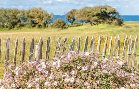 Location Appartement 6 personnes à Château d'Olonne - Photo 6