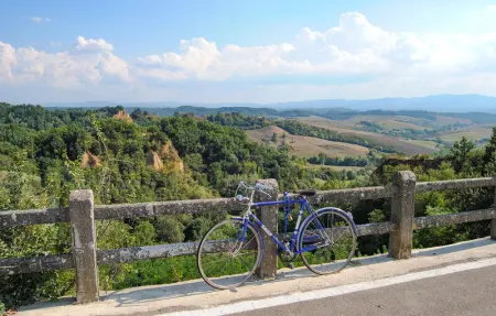 La Casella- La Terrazza, Maison 8 personnes à Castelfranco di Sopra - Photo 22
