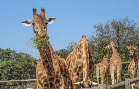 Location Maison 10 personnes à St. Cannat - Photo 70