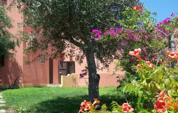 Appartement in Torre dei Corsari IGO070 N°875420