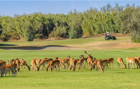 V3 valle da pesca, Maison 4 personnes à Albarella RO - Photo 44