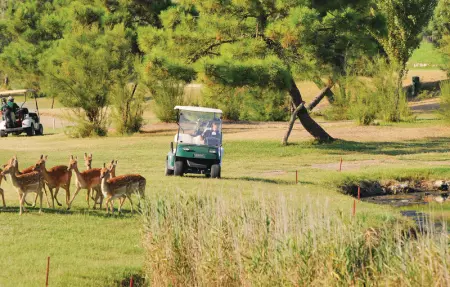 V3 valle da pesca, Maison 4 personnes à Albarella RO - Photo 51
