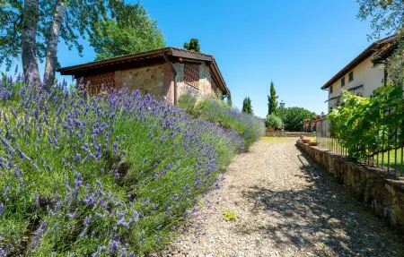 Noce, Appartement 4 personnes à Poppi - Photo 10