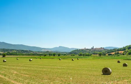 Noce, Appartement 4 personnes à Poppi - Photo 22