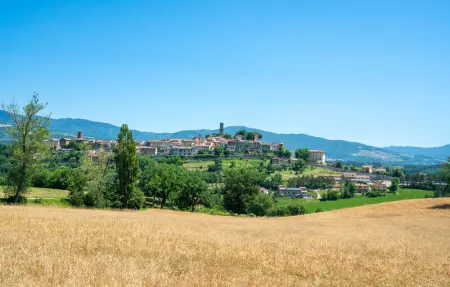 Noce, Appartement 4 personnes à Poppi - Photo 23