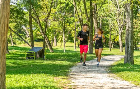 V3 valle da pesca, Maison 4 personnes à Albarella RO - Photo 40