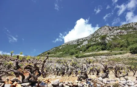 Location Maison 10 personnes à Orebic - Photo 24