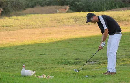 V4 zona verde, Maison 6 personnes à Albarella RO - Photo 36