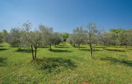 Location Maison 5 personnes à Buje - Photo 11