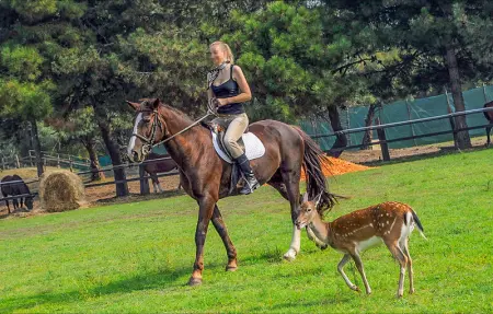 V4P, Maison 6 personnes à Albarella RO - Photo 43