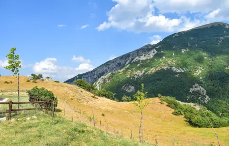 Location Maison 16 personnes à Apecchio (PU) - Photo 14