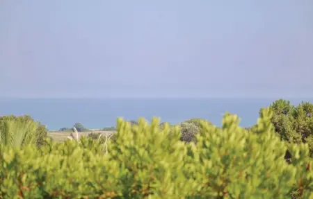 Location Maison 8 personnes à San Giuliano - Photo 11