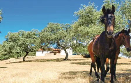 Location Maison 10 personnes à Villaviciosa de Córdoba - Photo 30