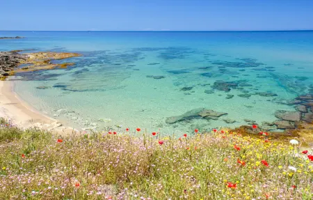 Location Maison 5 personnes à Porto Rotondo - Photo 24